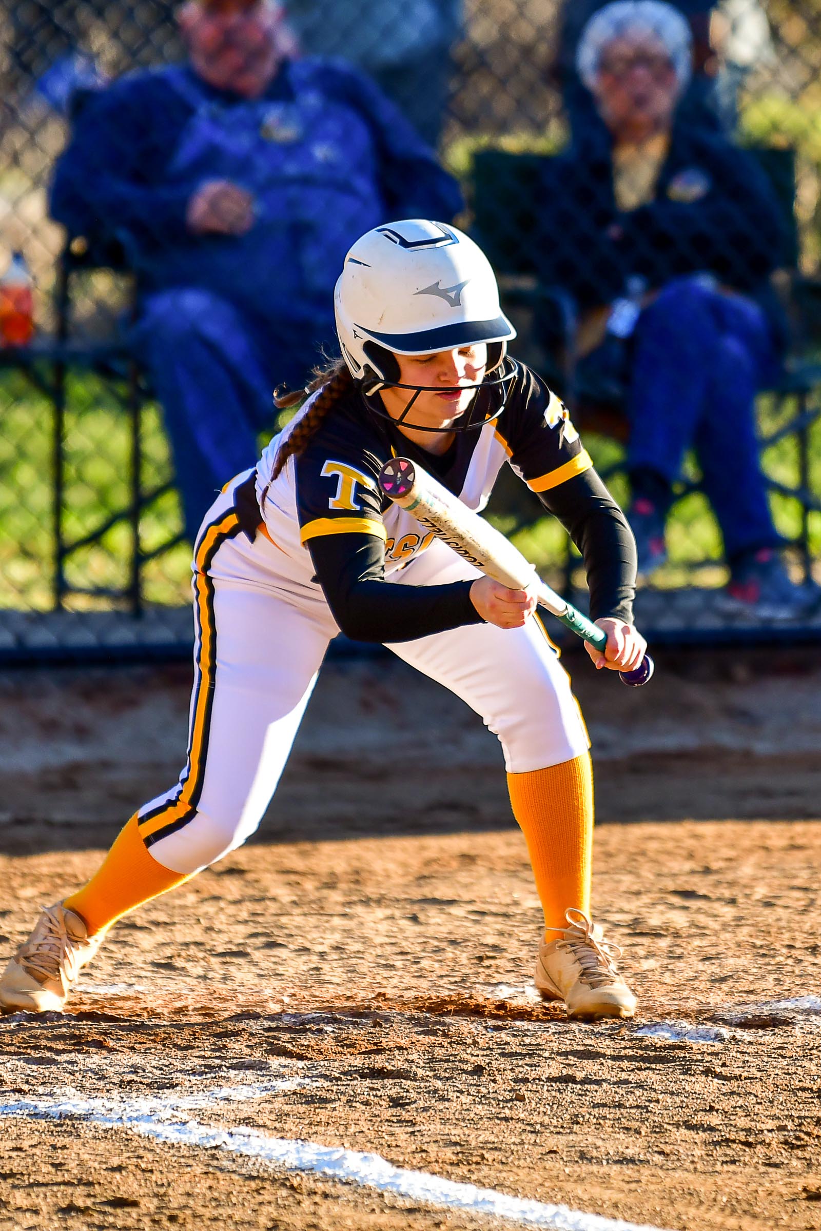 Tuscola Softball 2022 – Diana Gates Photography