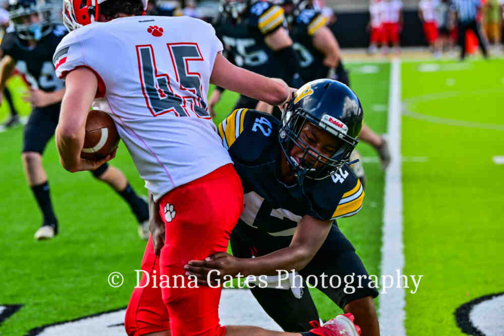 DSC_6402-e73EnbL1kK8YV7r7MBku5pFo