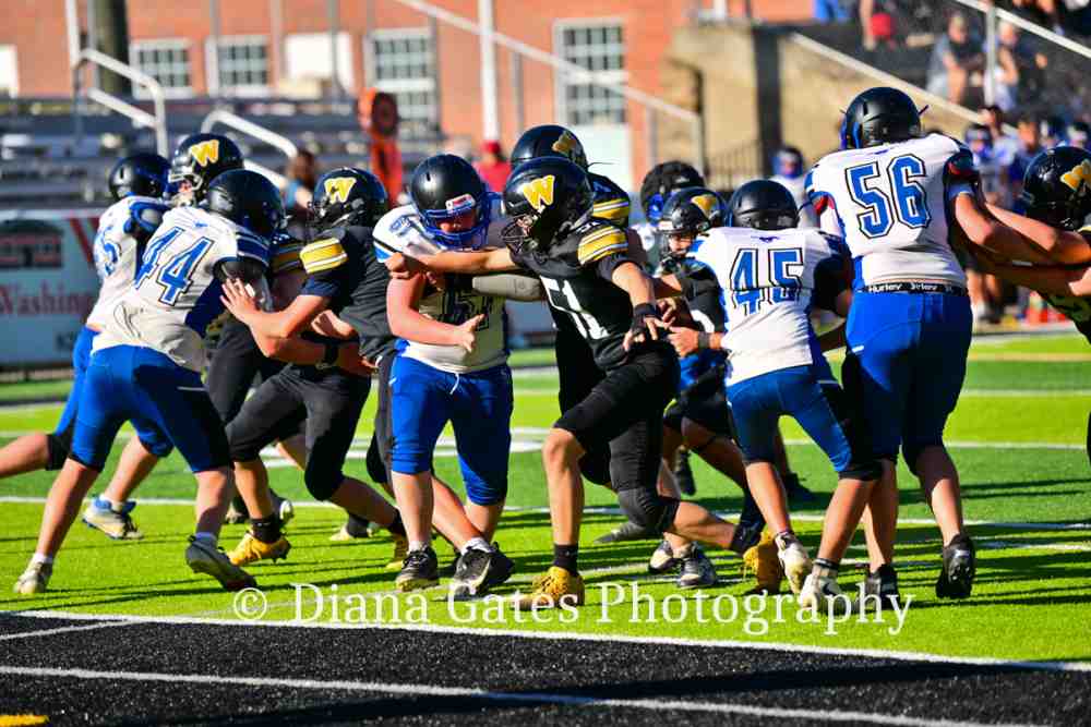 DSC_3390